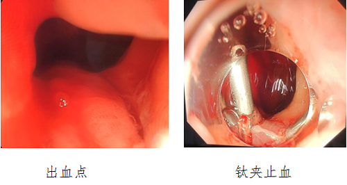 1657079242606.png 1657079242606.png